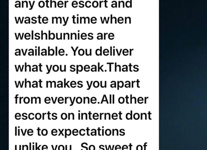 HAPPY CLIENTS – FEEDBACK